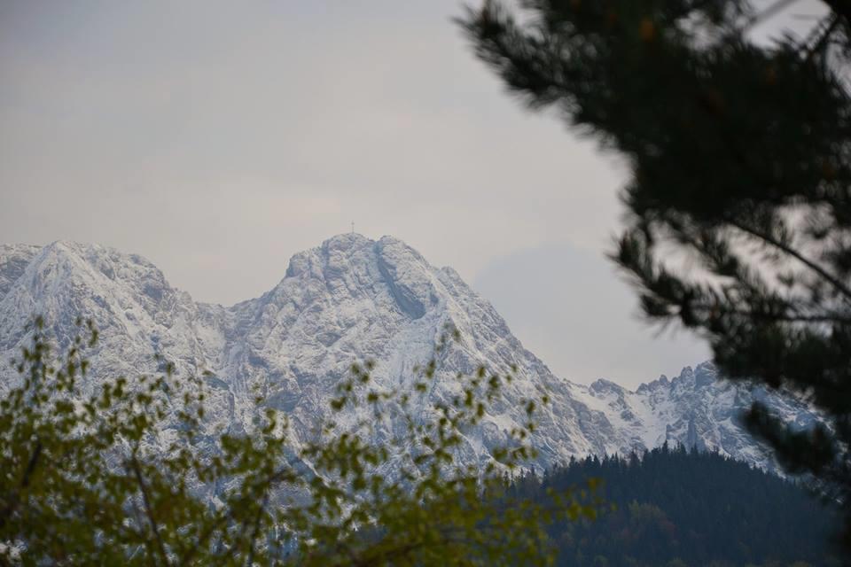 Apartament Twoj Giewont Zakopane Косцелиско Экстерьер фото